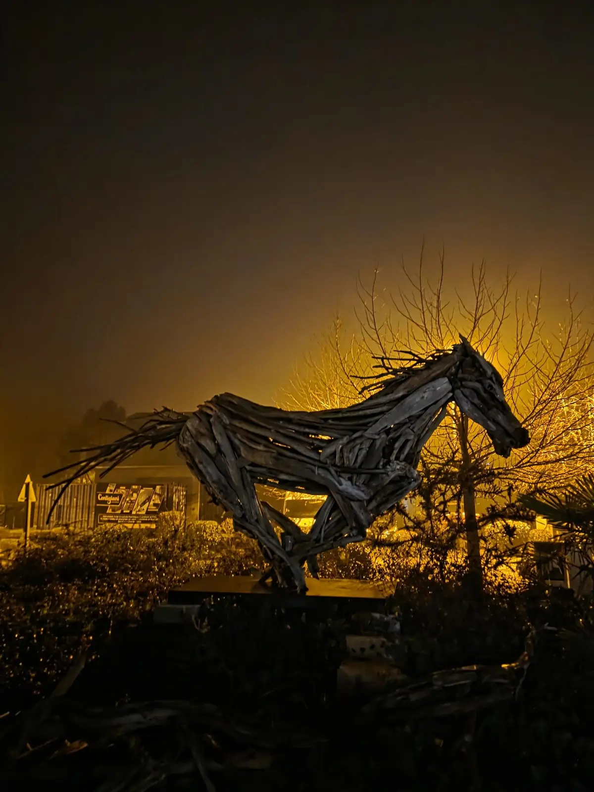 Sculpture en bois flotté de Rémi Bertoche photographiée dans la nuit